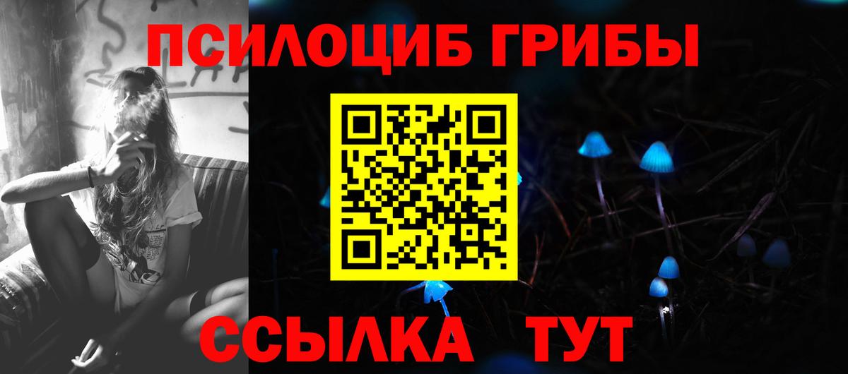 Кубинка  хочу   Вход с VPN  Псилоцибиновые грибы MAGIC MUSHROOMS 